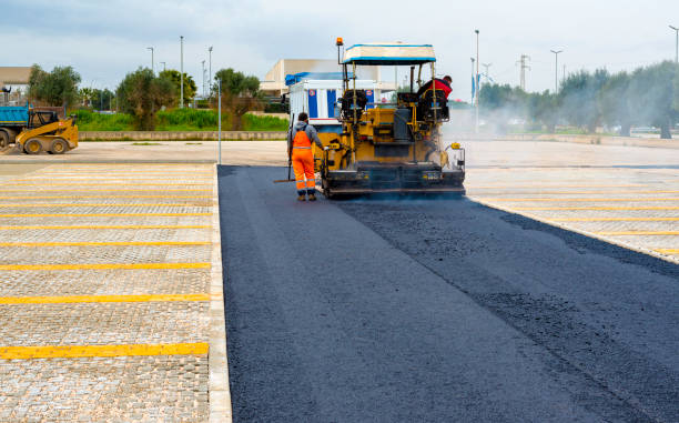 Best Professional Driveway Pavers  in Willow Oak, FL