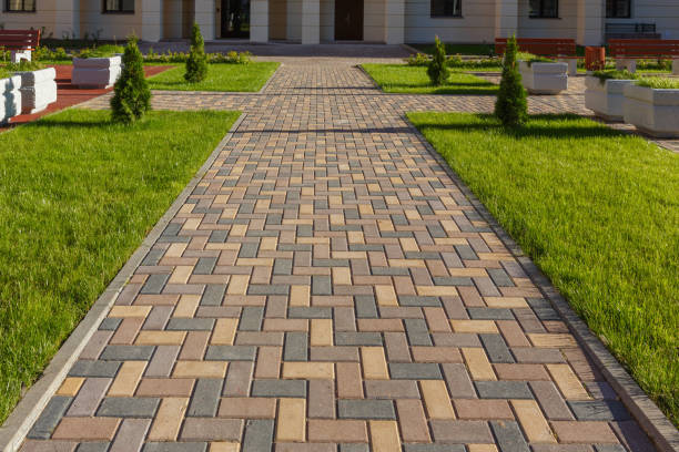 Best Driveway Paving Contractor  in Willow Oak, FL